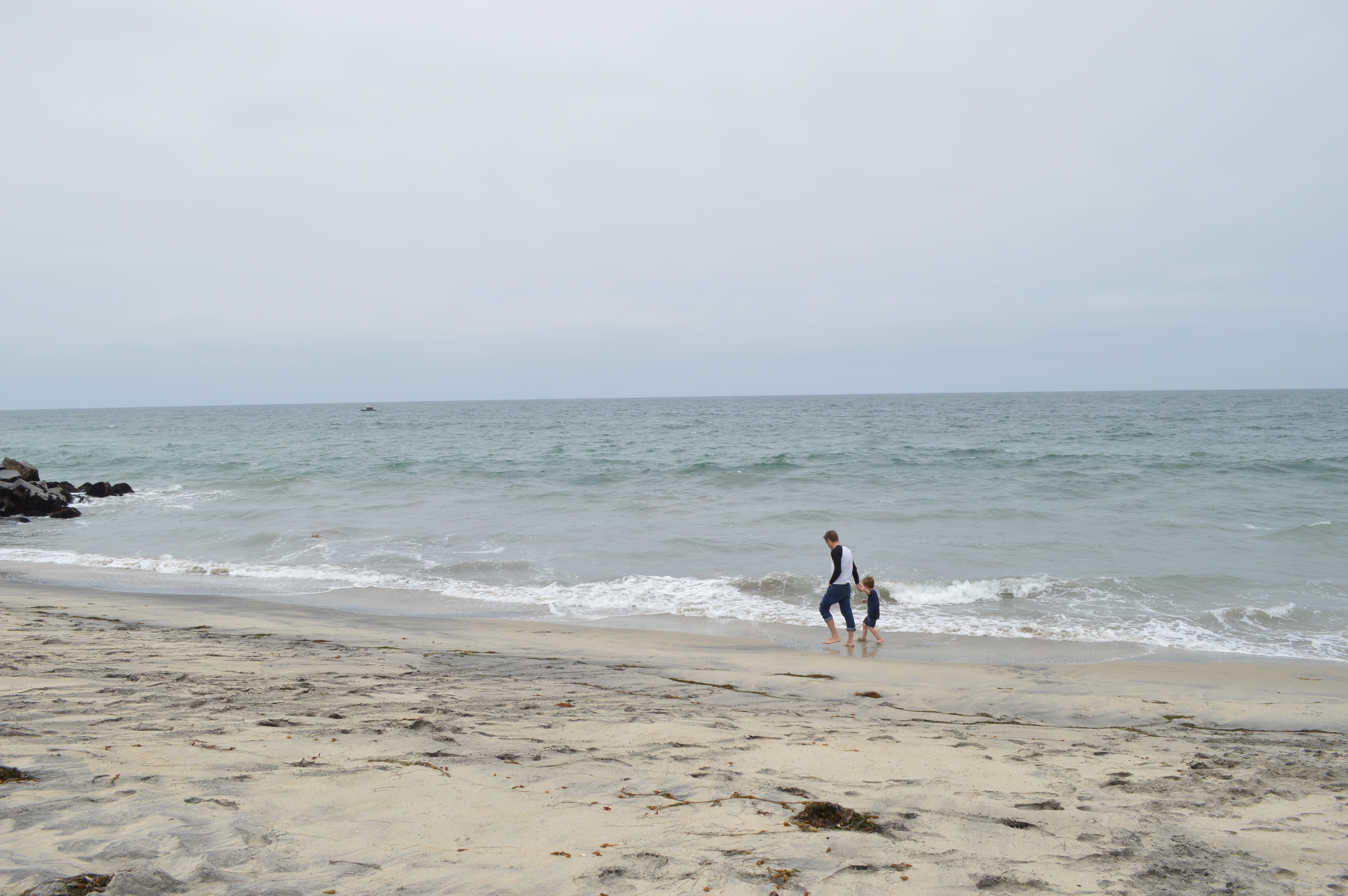 DSC_0091.jpg